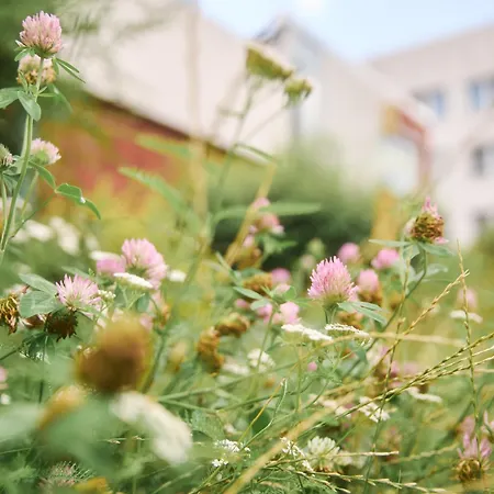 Hotel Akademiehotel 2*