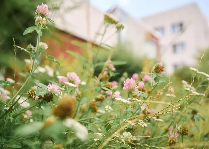 Otel Akademiehotel 2*